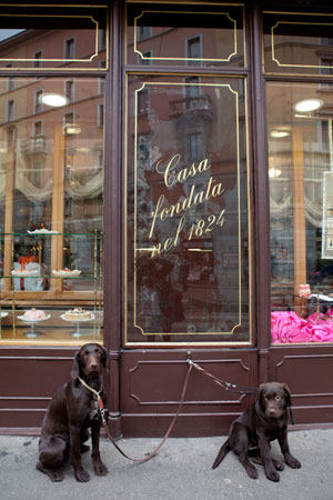 Zagato feels very much at home in Milan, known for its chic boutiques